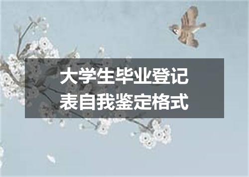 大学生毕业登记表自我鉴定格式