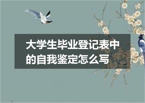 大学生毕业登记表中的自我鉴定怎么写