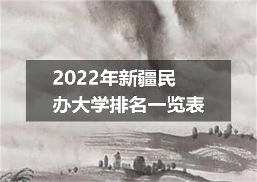 2022年新疆民办大学排名一览表