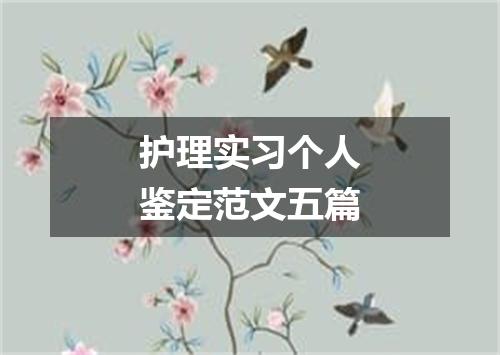 护理实习个人鉴定范文五篇