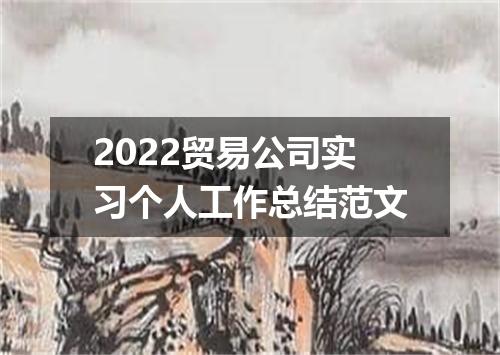 2022贸易公司实习个人工作总结范文