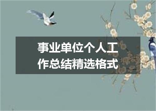 事业单位个人工作总结精选格式