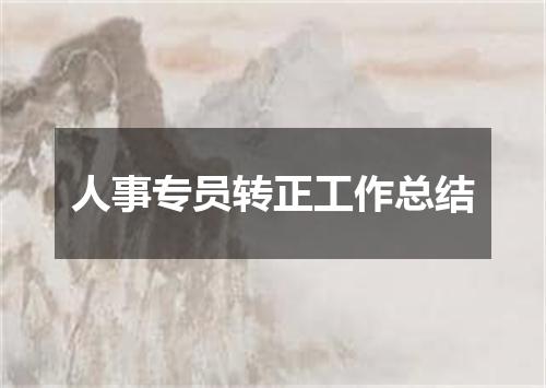 人事专员转正工作总结