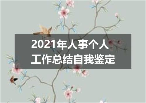 2021年人事个人工作总结自我鉴定