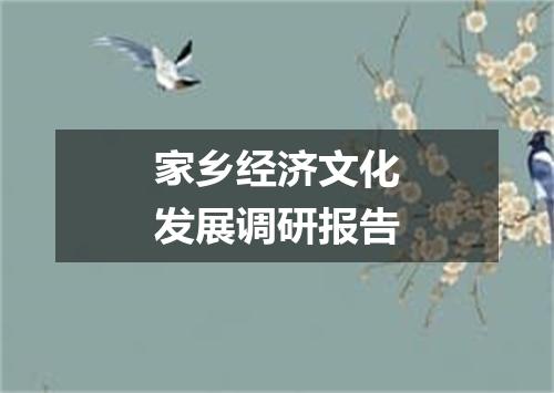 家乡经济文化发展调研报告