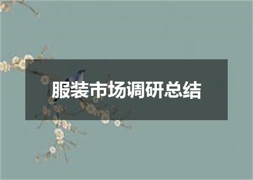 服装市场调研总结