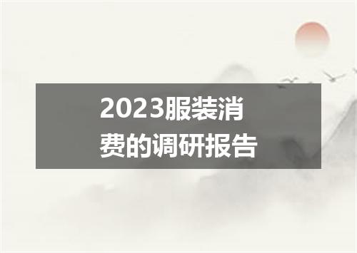 2023服装消费的调研报告