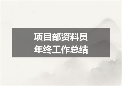 项目部资料员年终工作总结