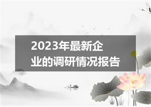 2023年最新企业的调研情况报告