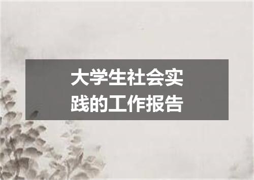 大学生社会实践的工作报告