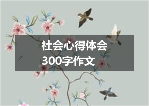 社会心得体会300字作文