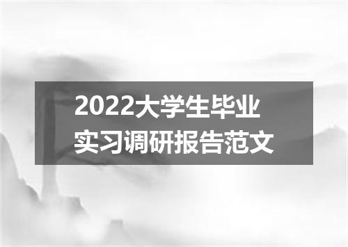 2022大学生毕业实习调研报告范文
