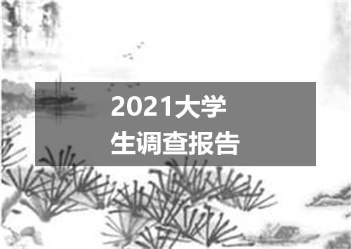 2021大学生调查报告