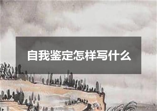自我鉴定怎样写什么