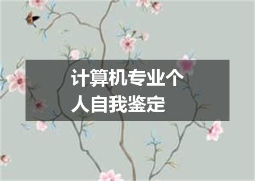 计算机专业个人自我鉴定