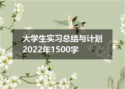 大学生实习总结与计划2022年1500字