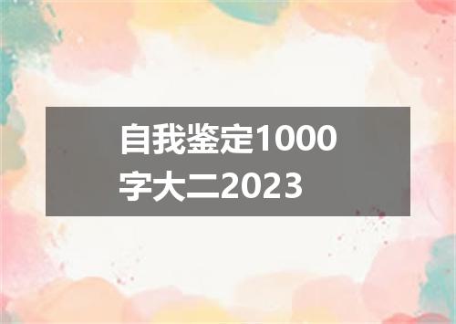 自我鉴定1000字大二2023