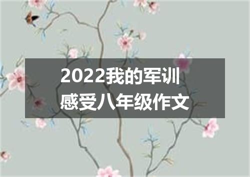 2022我的军训感受八年级作文