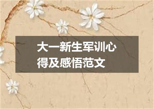 大一新生军训心得及感悟范文