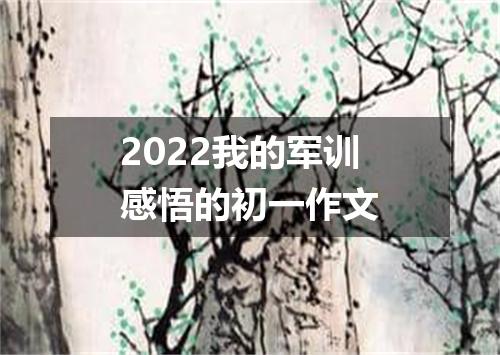 2022我的军训感悟的初一作文