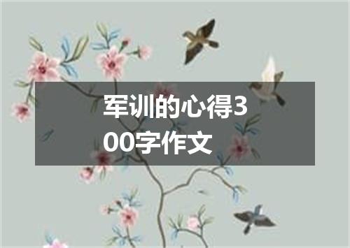 军训的心得300字作文
