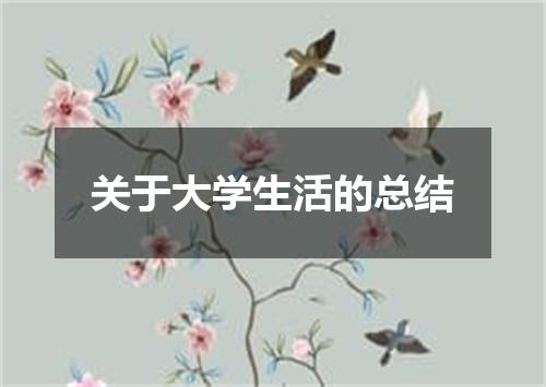关于大学生活的总结