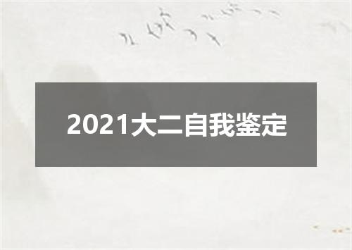 2021大二自我鉴定