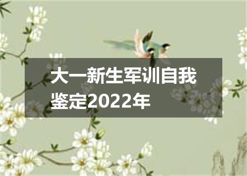 大一新生军训自我鉴定2022年