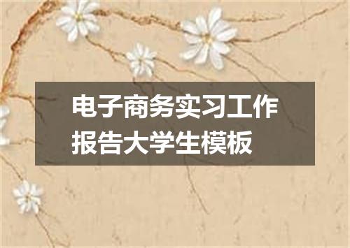 电子商务实习工作报告大学生模板