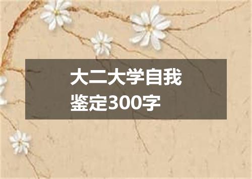 大二大学自我鉴定300字