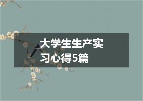 大学生生产实习心得5篇