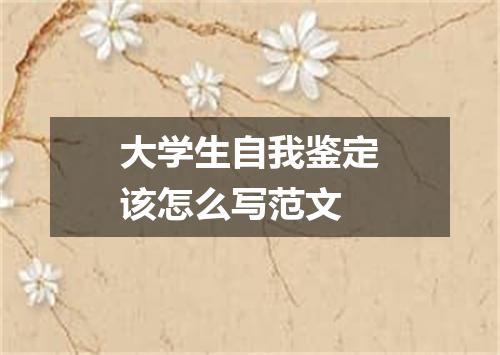 大学生自我鉴定该怎么写范文