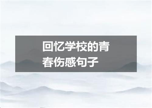 回忆学校的青春伤感句子