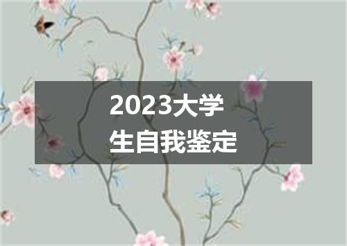 2023大学生自我鉴定