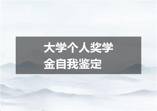 大学个人奖学金自我鉴定
