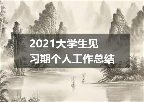 2021大学生见习期个人工作总结