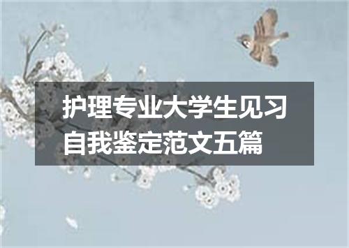 护理专业大学生见习自我鉴定范文五篇
