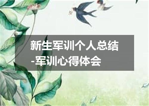 新生军训个人总结-军训心得体会