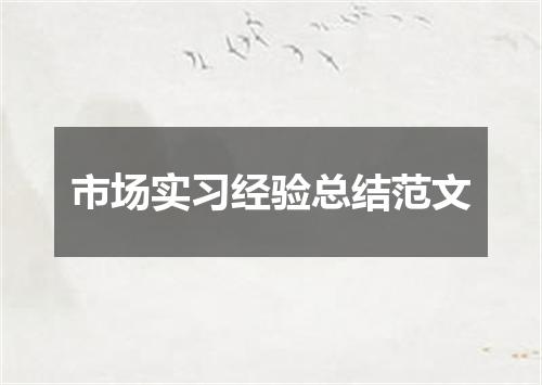 市场实习经验总结范文