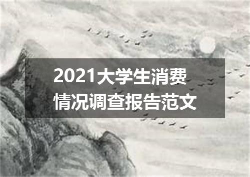 2021大学生消费情况调查报告范文