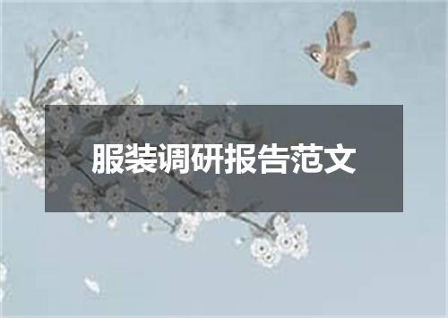服装调研报告范文