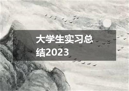 大学生实习总结2023