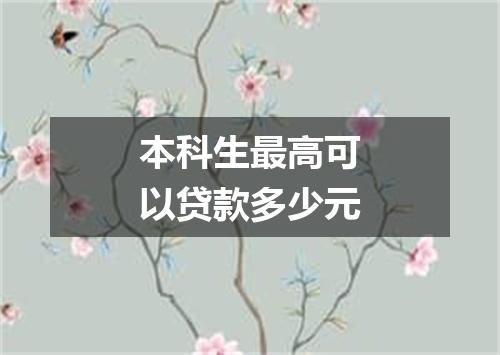 本科生最高可以贷款多少元