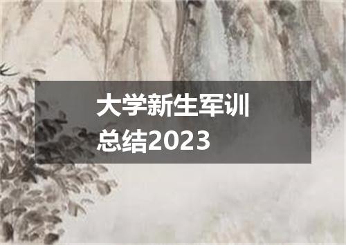 大学新生军训总结2023
