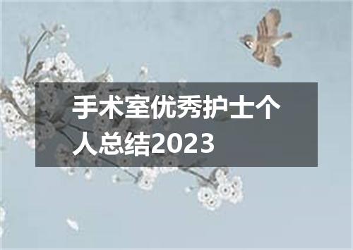 手术室优秀护士个人总结2023