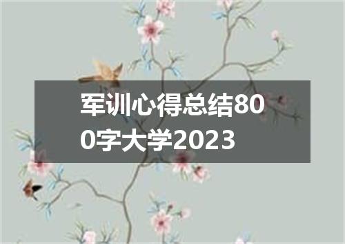 军训心得总结800字大学2023