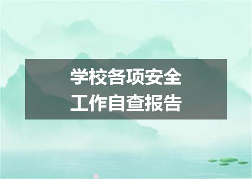 学校各项安全工作自查报告