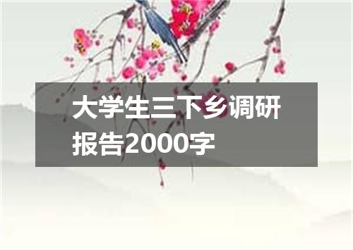 大学生三下乡调研报告2000字