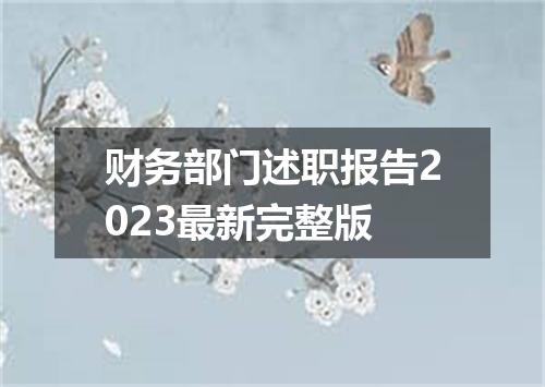 财务部门述职报告2023最新完整版