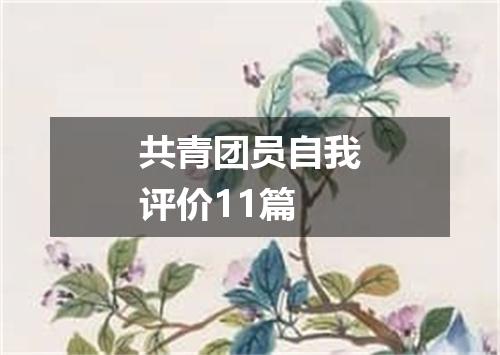 共青团员自我评价11篇